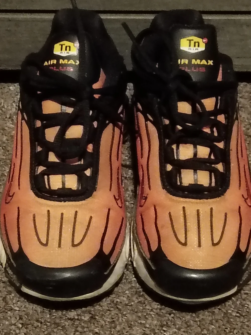 Nike Kids' Air Max Plus Tn Orange/Black Sneakers